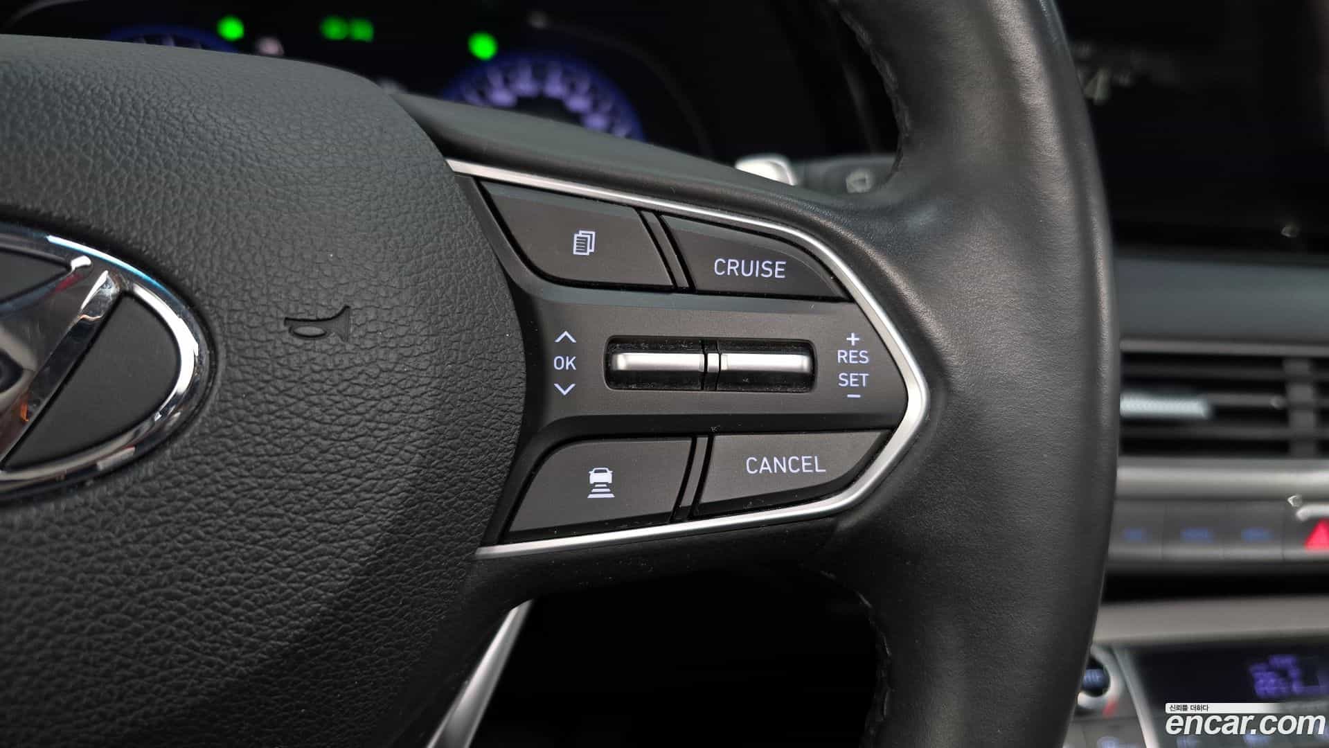Palisade Hyundai 2019.1-OPTION-021