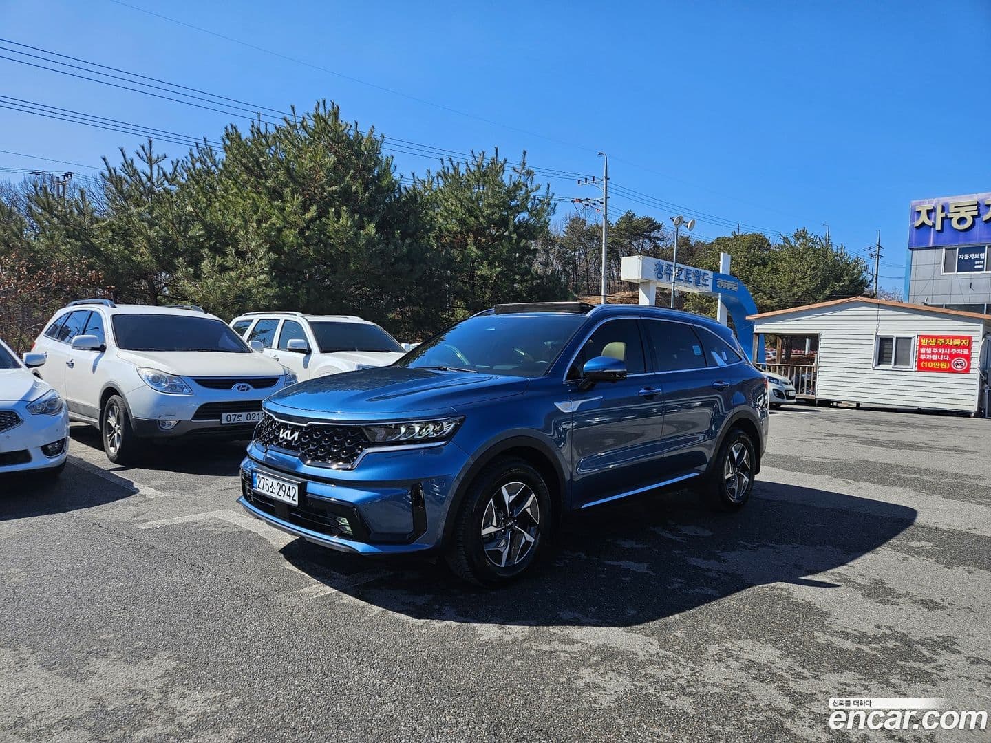 Main__Slider__Photo:Sorento Kia 2022.1-0