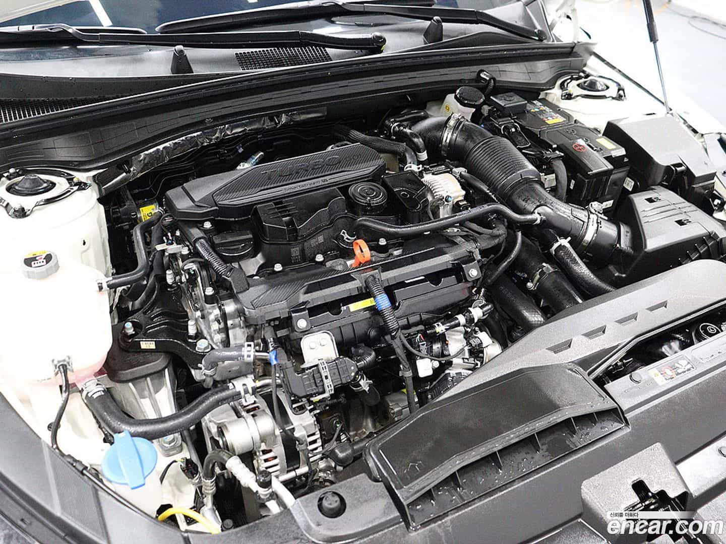 K5 Kia 2025.4-OPTION-023