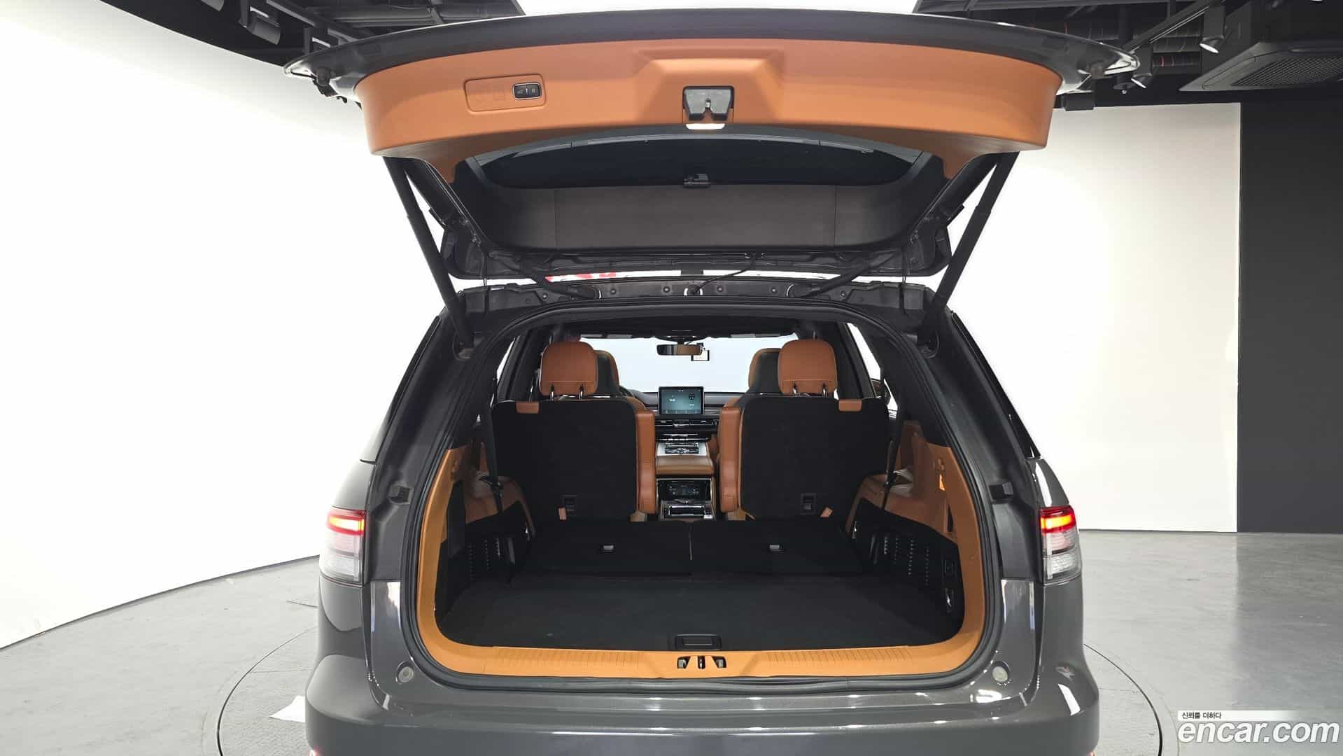 Aviator Lincoln 2021.0-OPTION-024