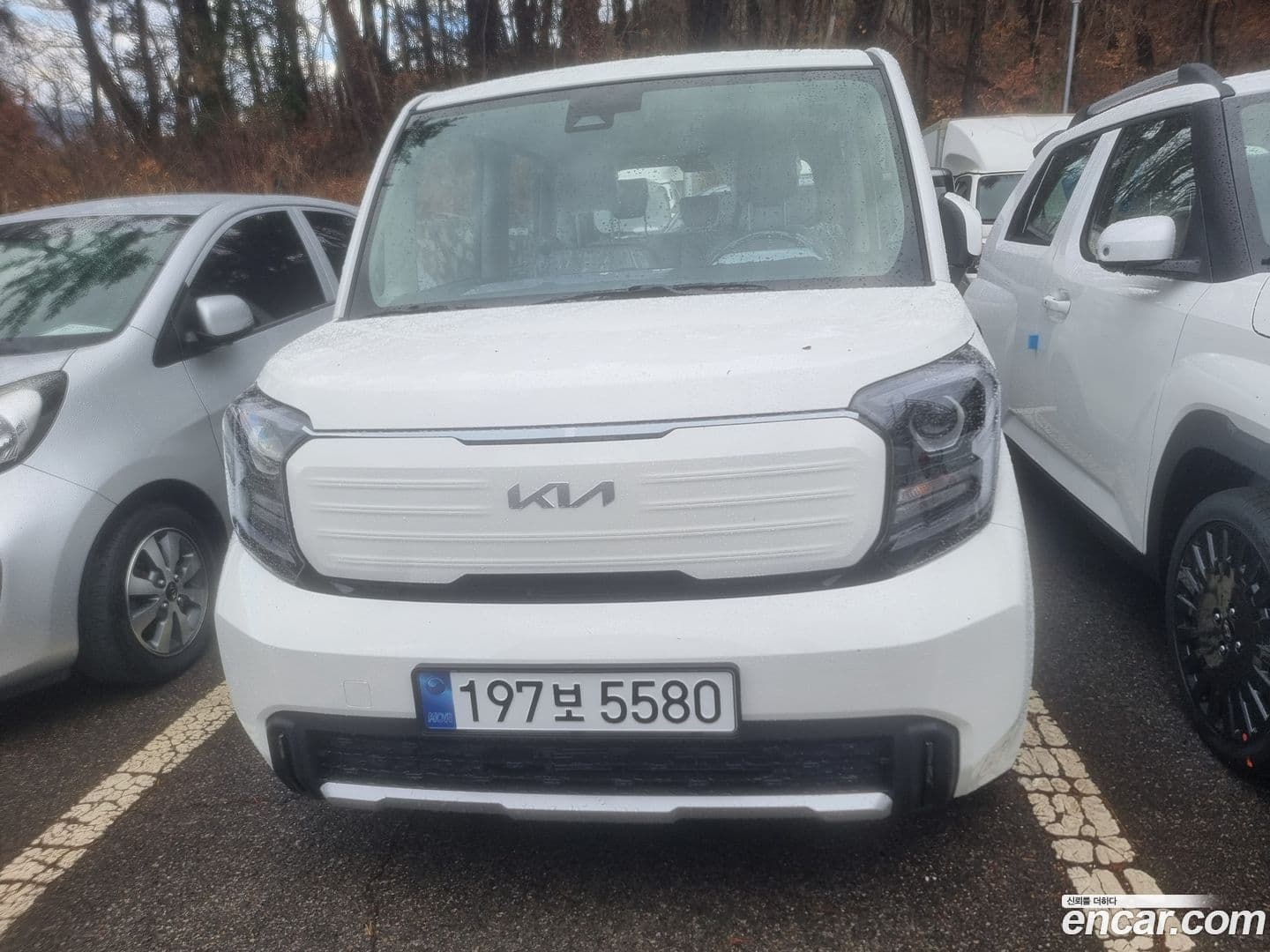 Main__Slider__Photo:RAY Kia 2026.1-0