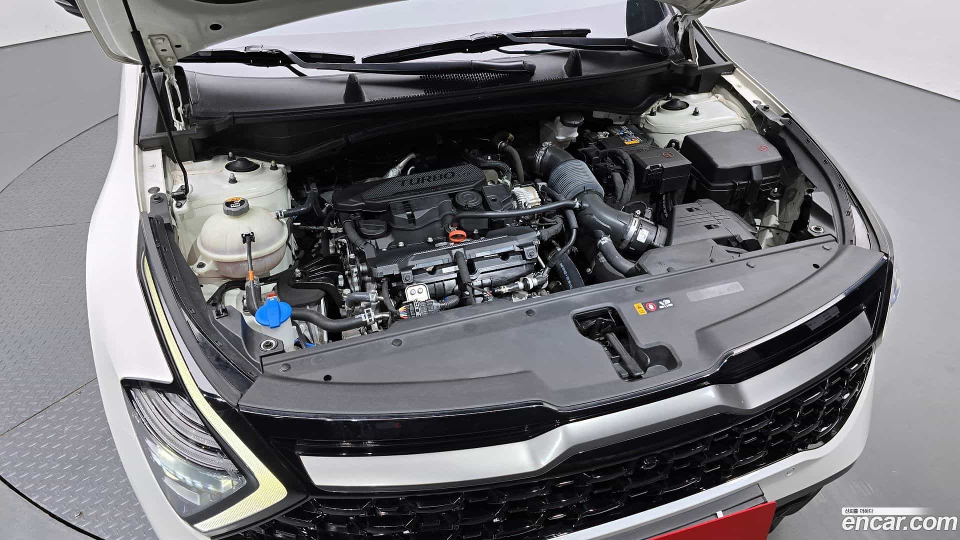 Sportage Kia 2022.9-INNER-006