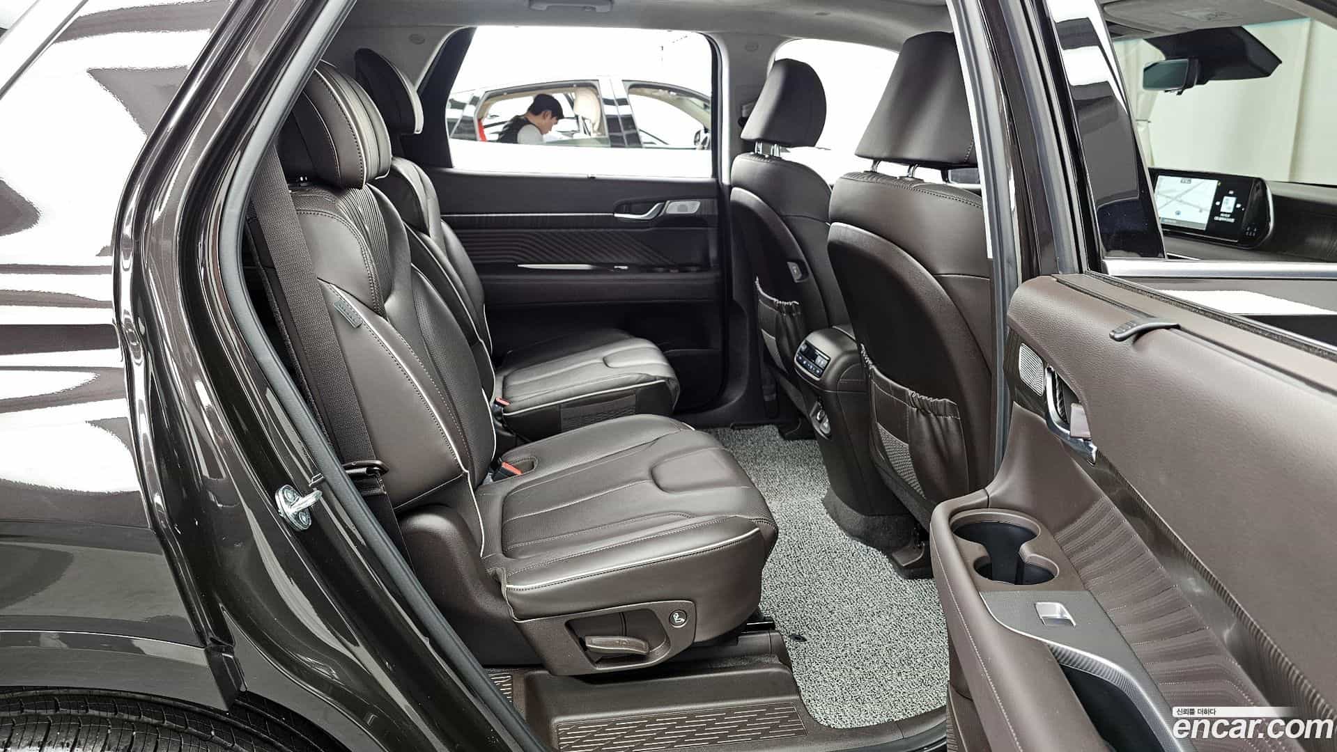 Palisade Hyundai 2023.10-OPTION-016