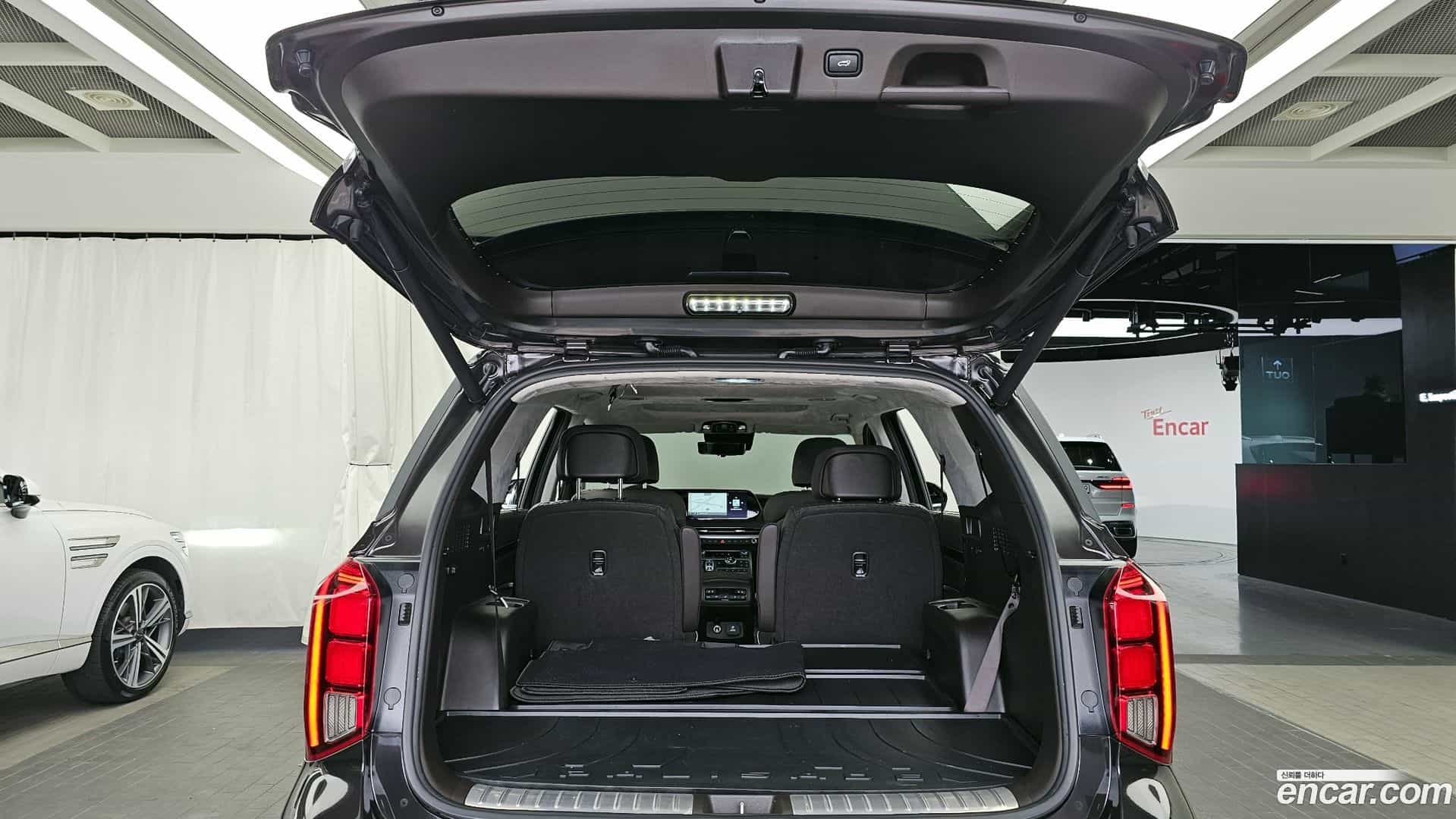 Palisade Hyundai 2023.10-OPTION-024