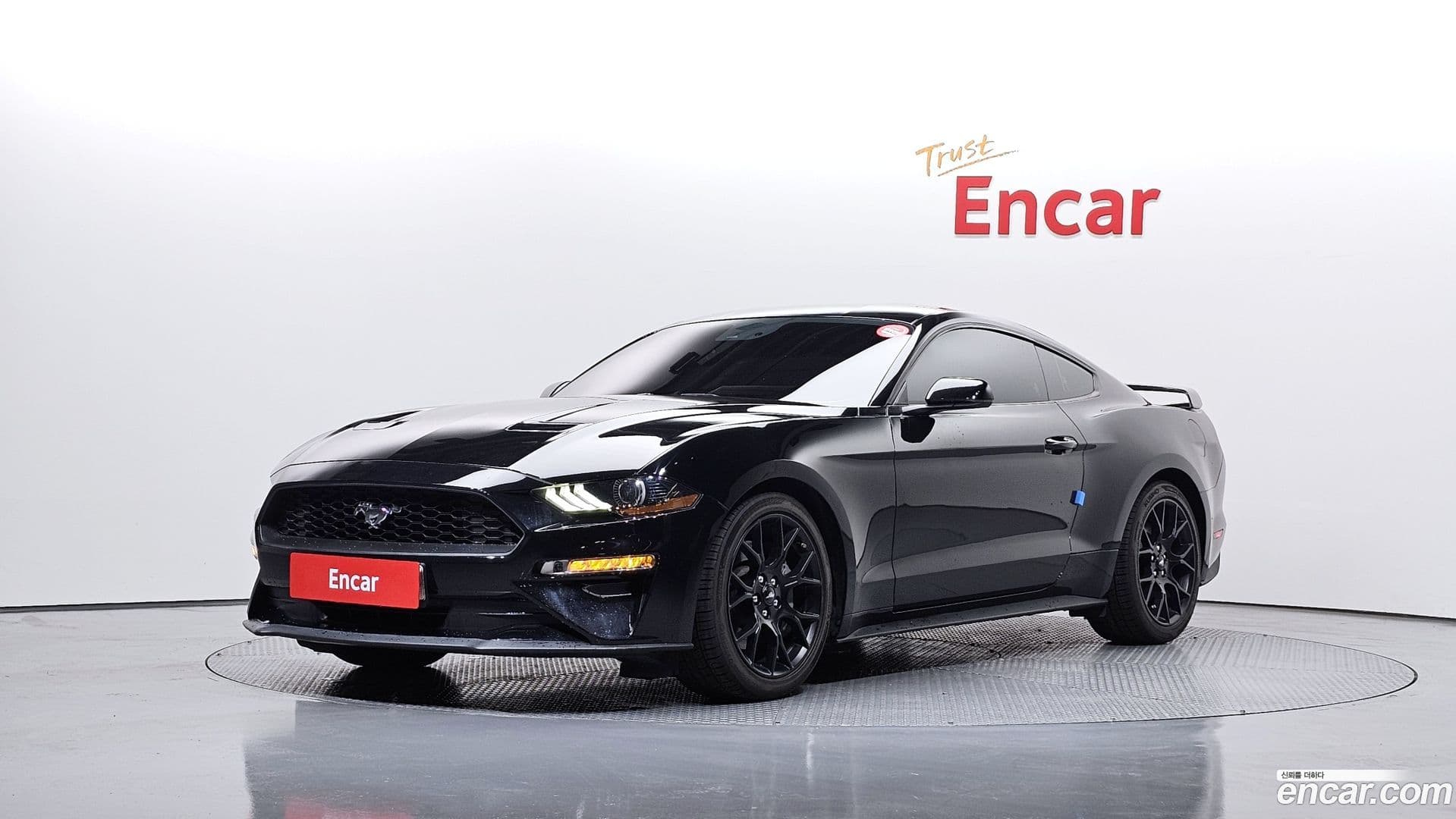 Main__Slider__Photo:Mustang Ford 2019.7-0