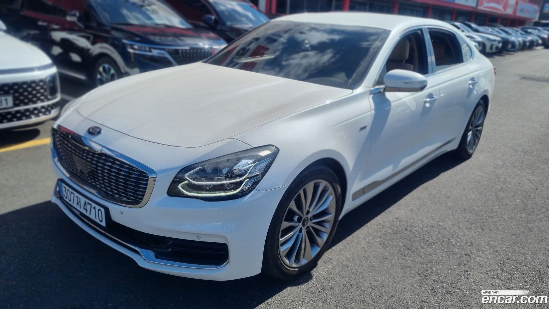Main__Slider__Photo:K9 Kia 2020.11-0