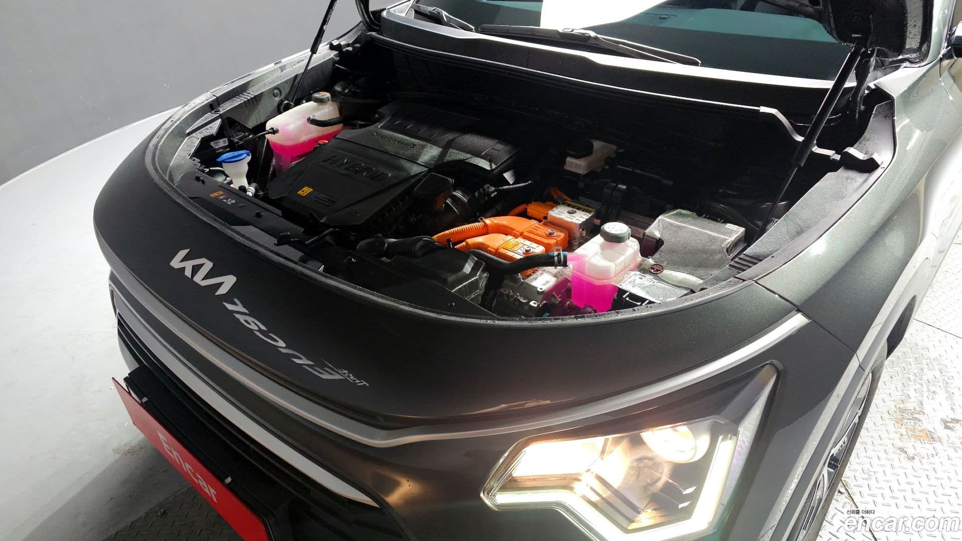 Main__Slider__Photo:Niro Kia 2024.4-5