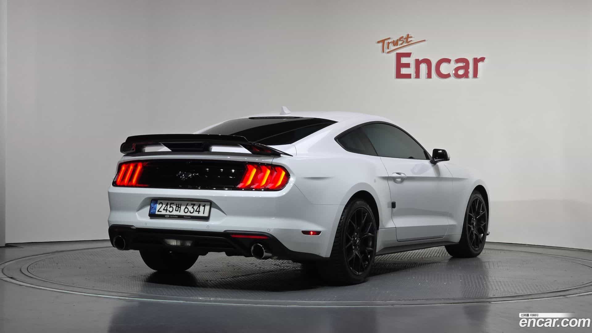 Mustang Ford 2023.4-OUTER-002
