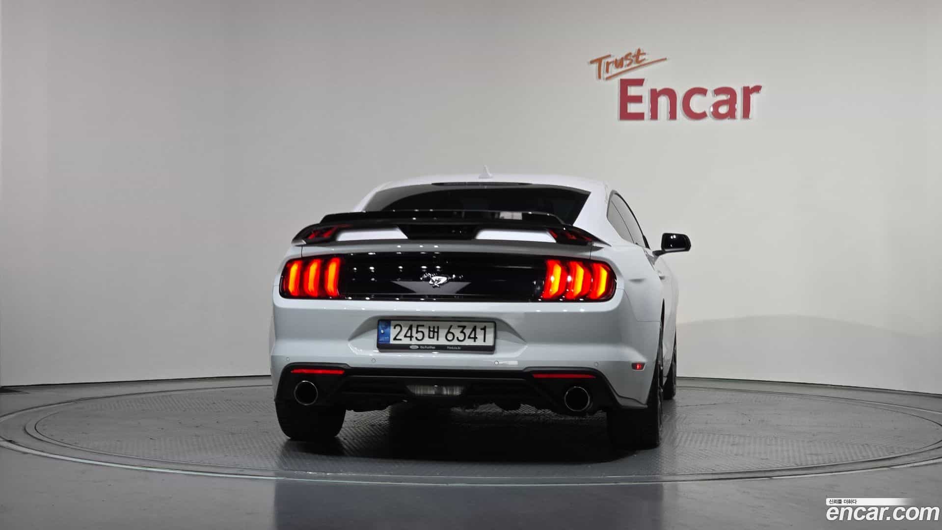 Mustang Ford 2023.4-OUTER-004