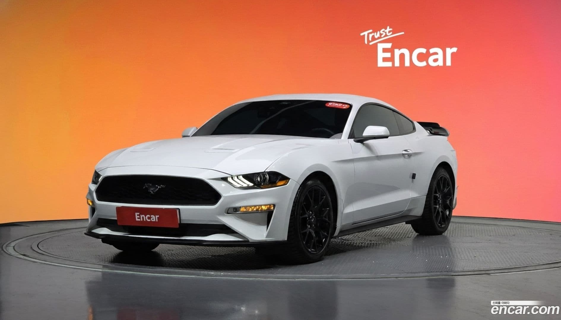 Main__Slider__Photo:Mustang Ford 2023.4-0
