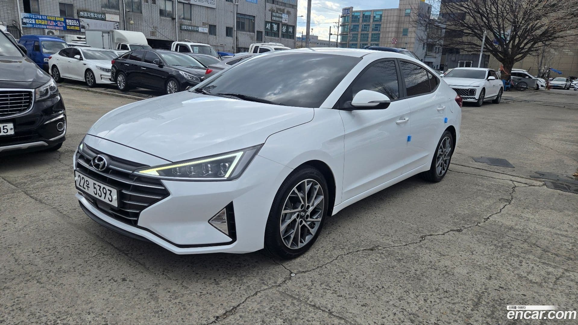 Main__Slider__Photo:AVANTE Hyundai 2019.5-0