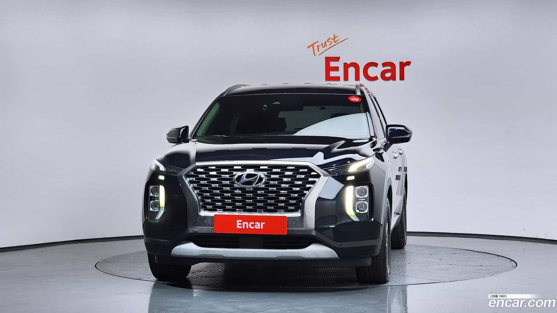 Palisade Hyundai 2019.1-OUTER-003