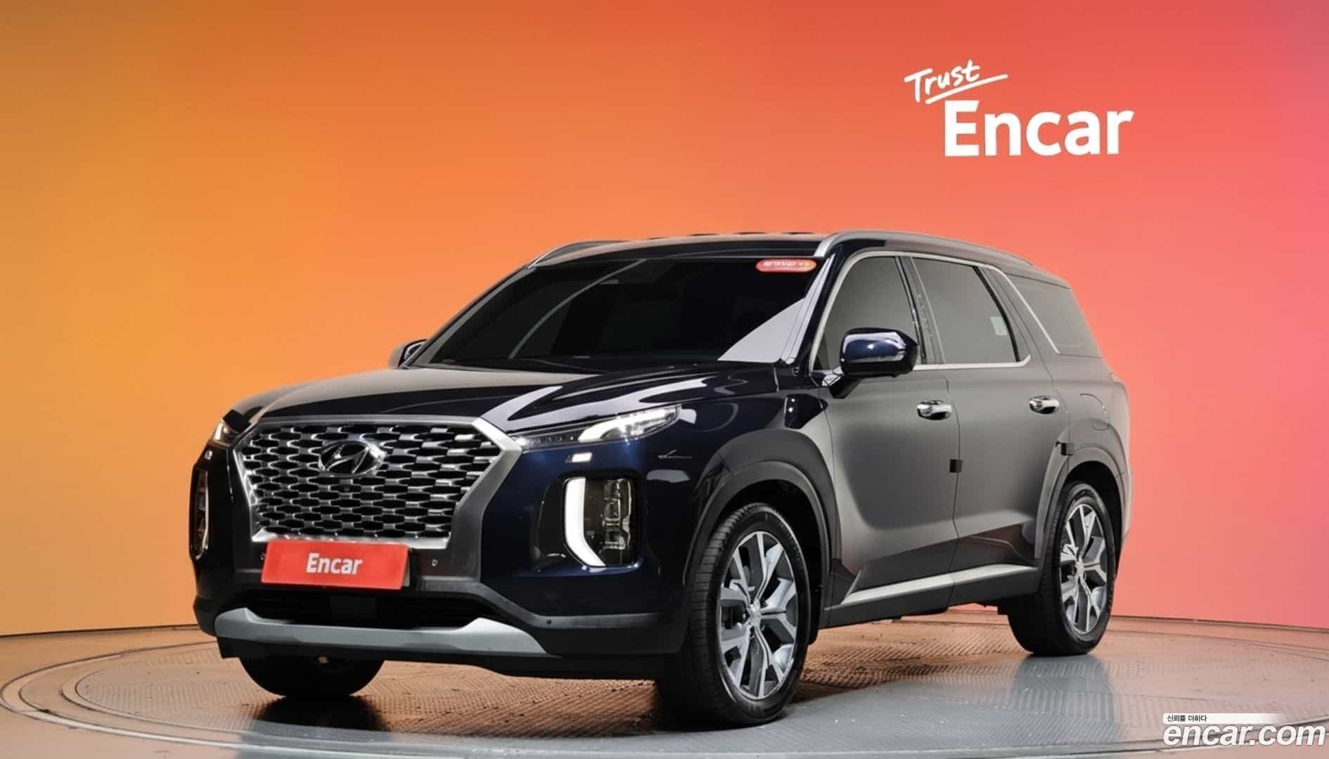Palisade Hyundai 2019.0-DIAG2-001