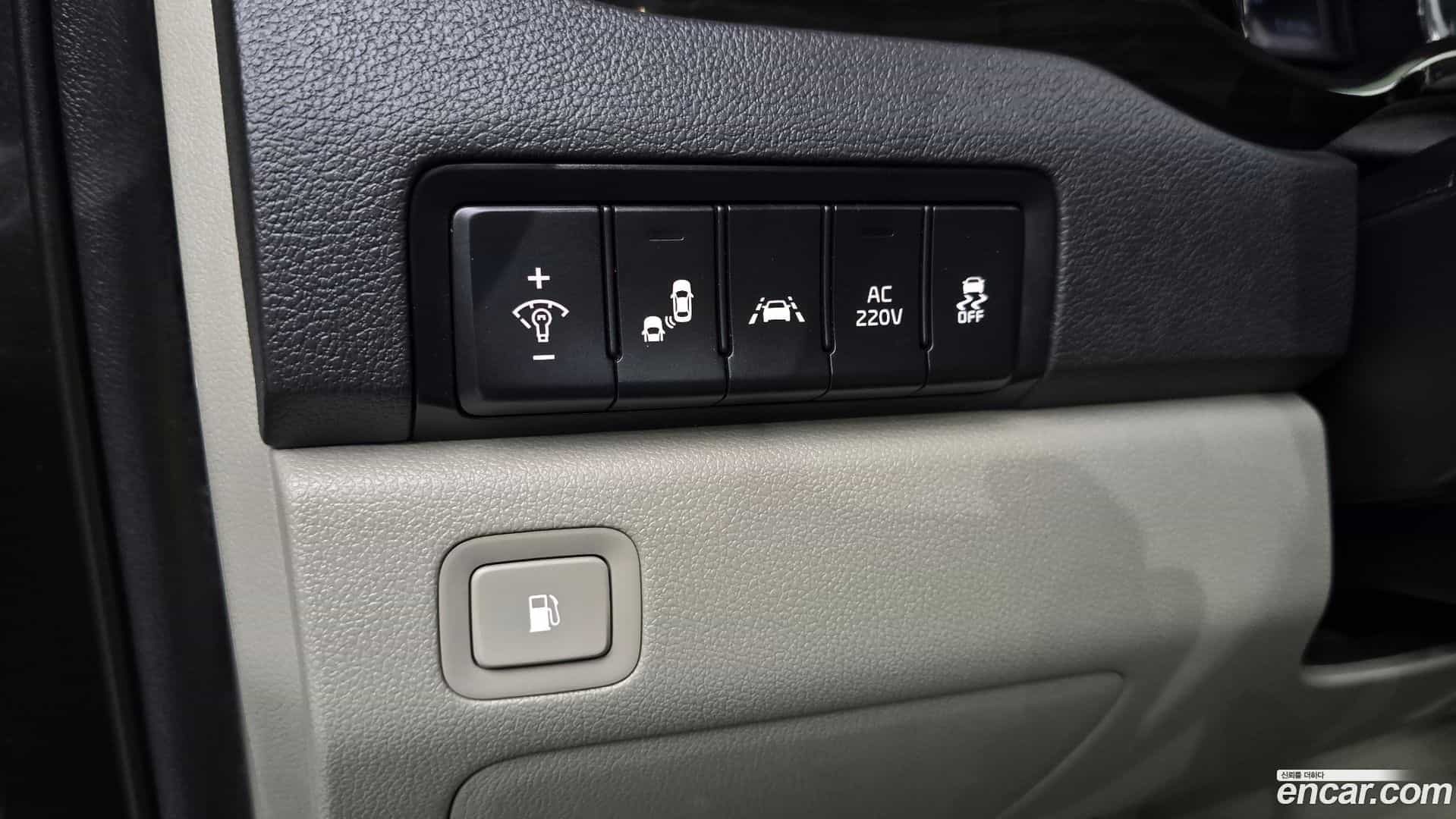 Canival Kia 2019.11-OPTION-018