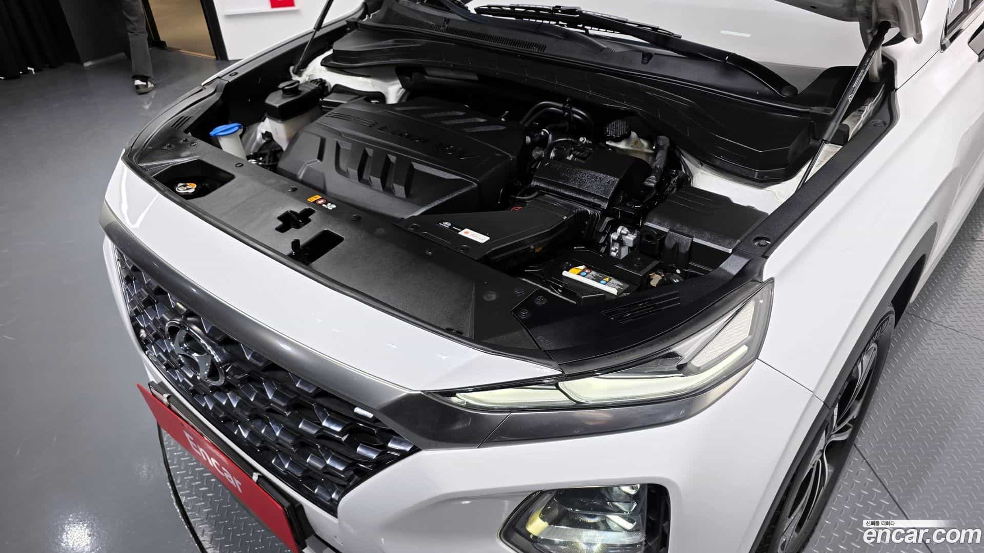 Santafe Hyundai 2019.0-OUTER-006