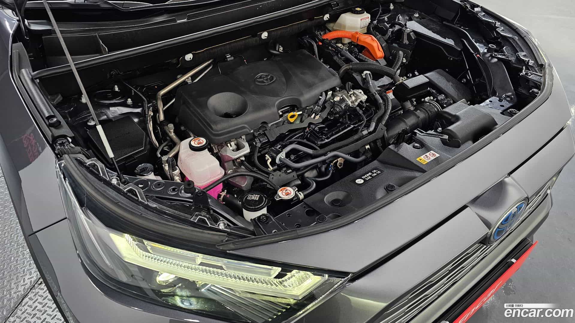 RAV4 Toyota 2024.2-OUTER-006