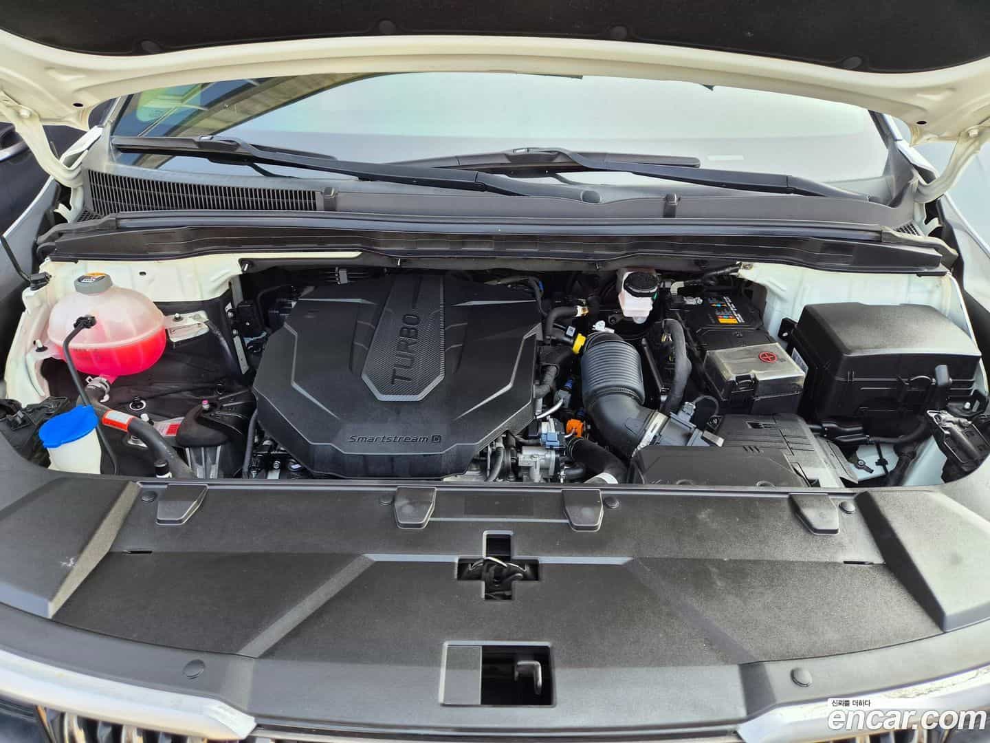 Canival Kia 2021.0-OPTION-024