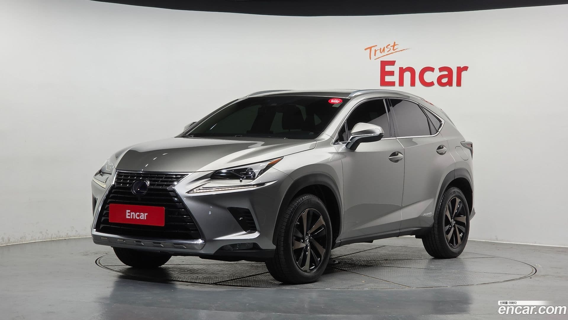 Main__Slider__Photo:NX Lexus 2020.2-0