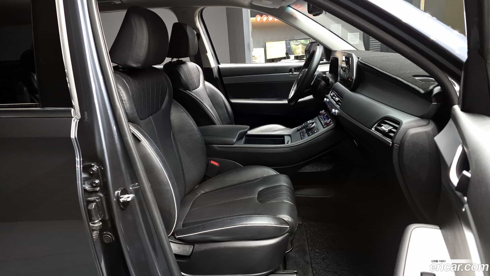 Palisade Hyundai 2019.3-OPTION-015