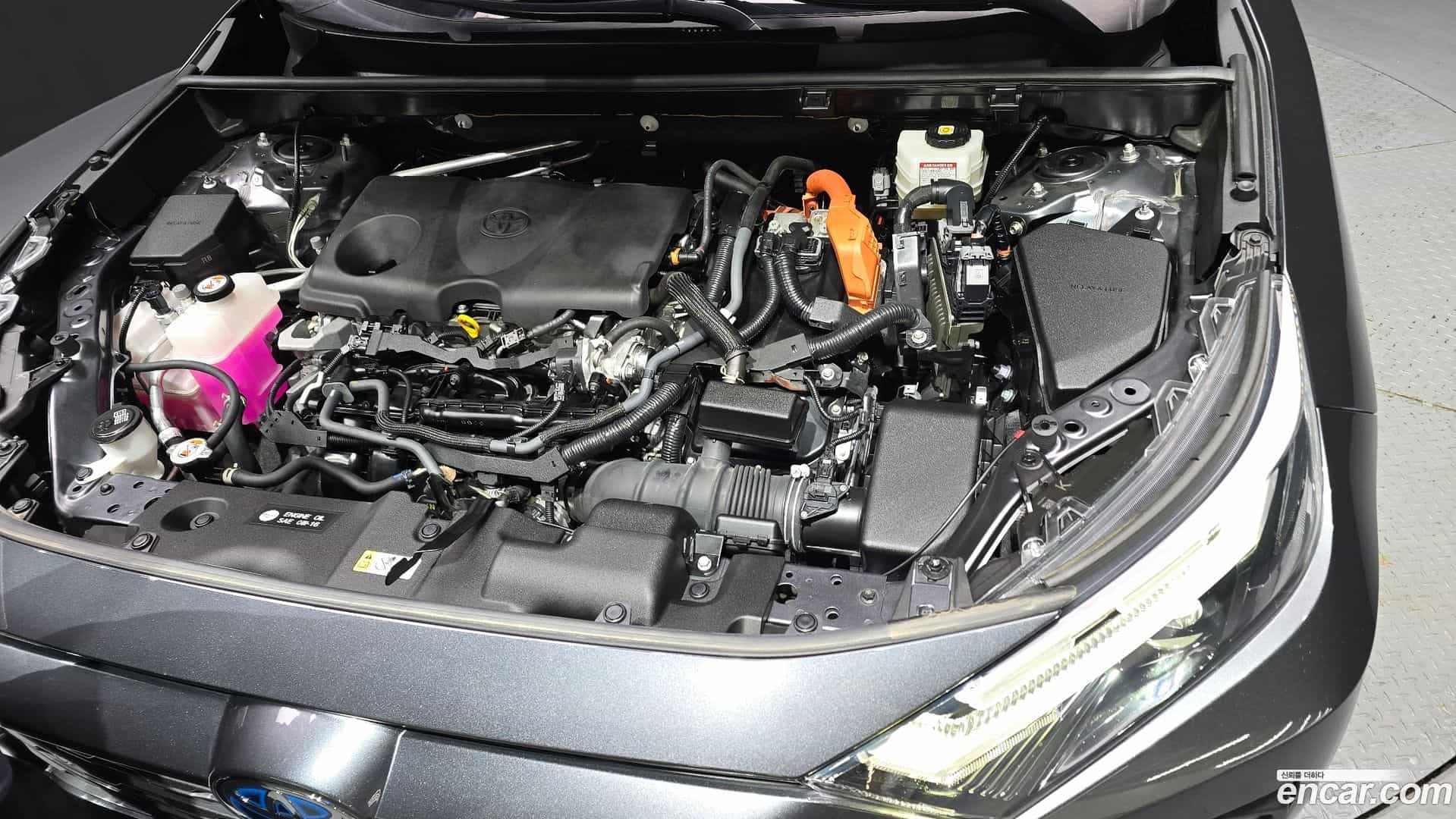 RAV4 Toyota 2023.7-OUTER-006