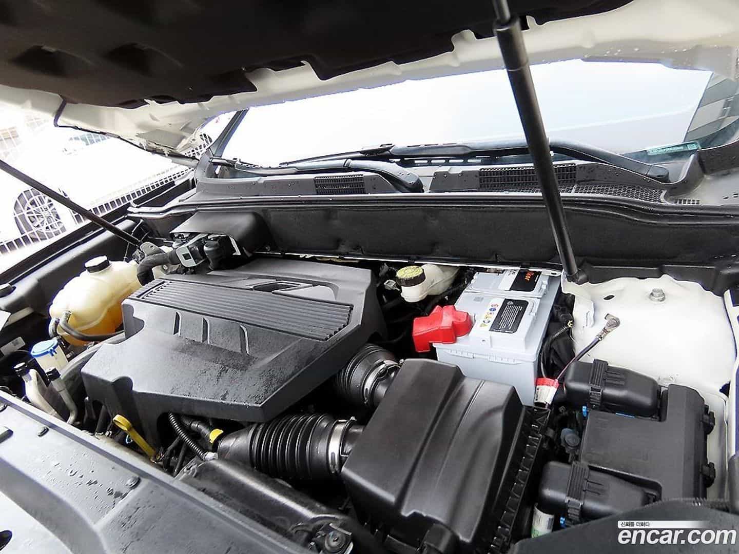 Nautilus Lincoln 2019.9-OPTION-023