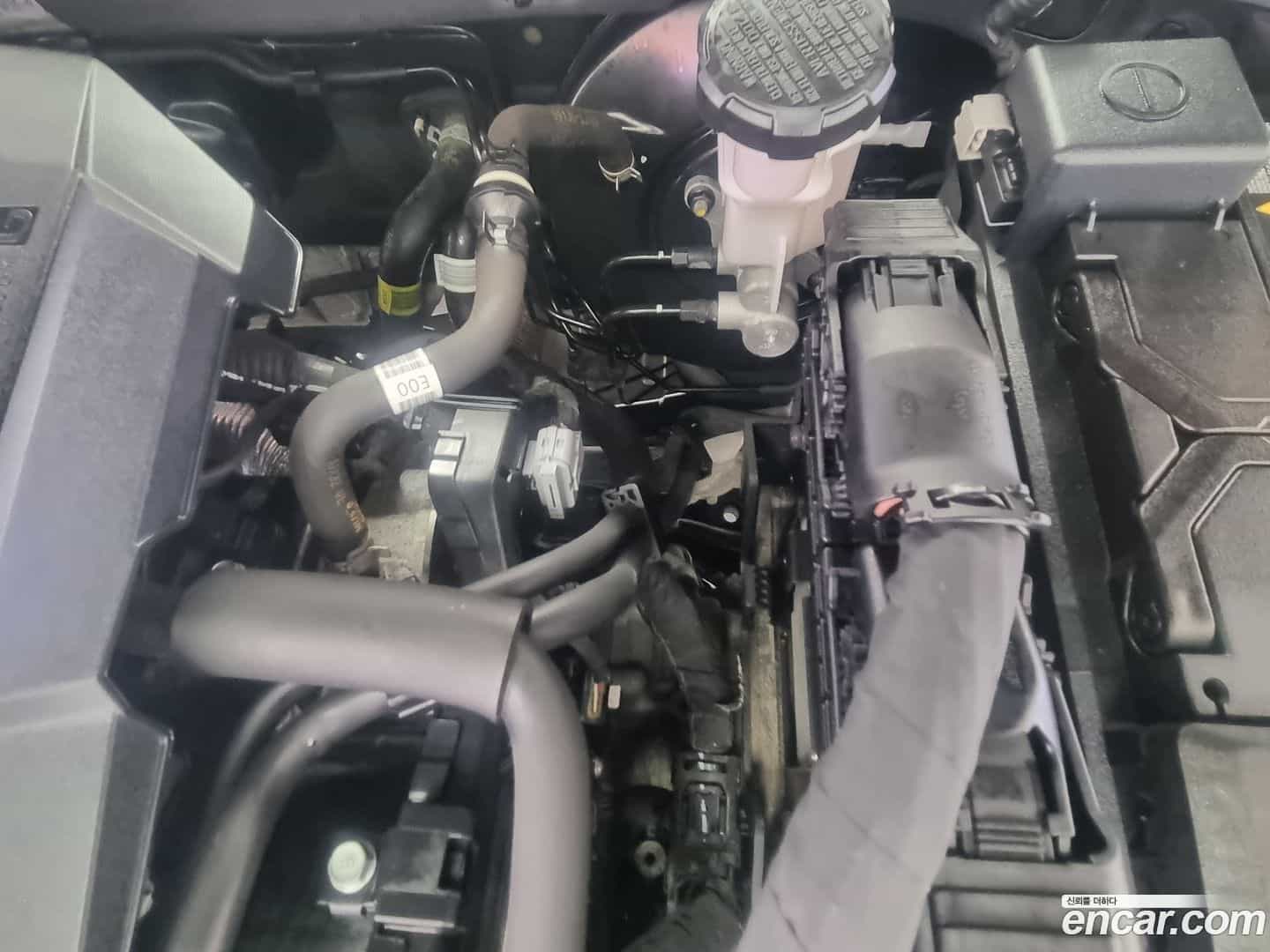 K5 Kia 2021.0-OPTION-023