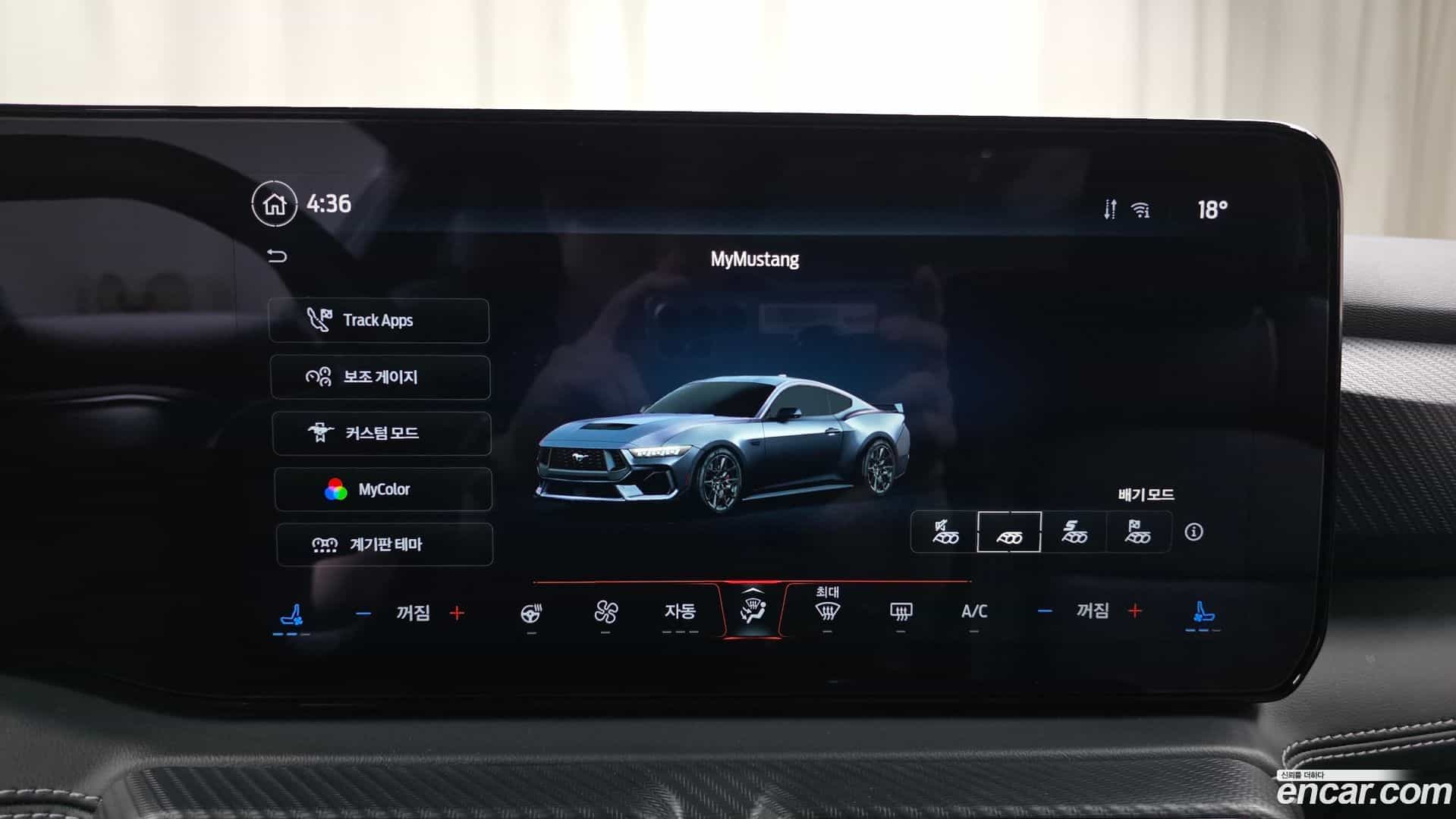 Mustang Ford 2024.2-OPTION-019