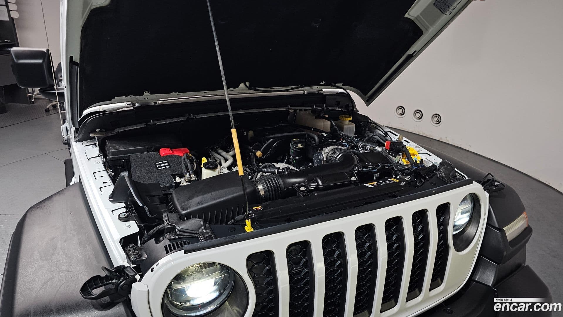 Main__Slider__Photo:Gladiator Jeep 2022.11-5
