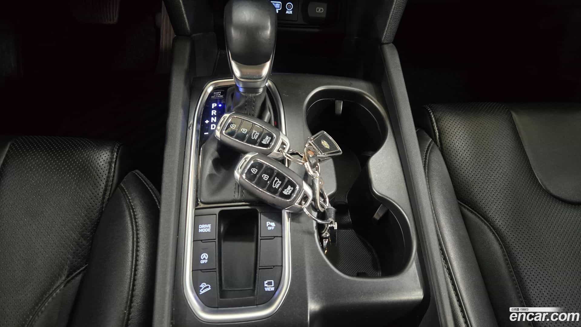 Santafe Hyundai 2018.4-OPTION-015
