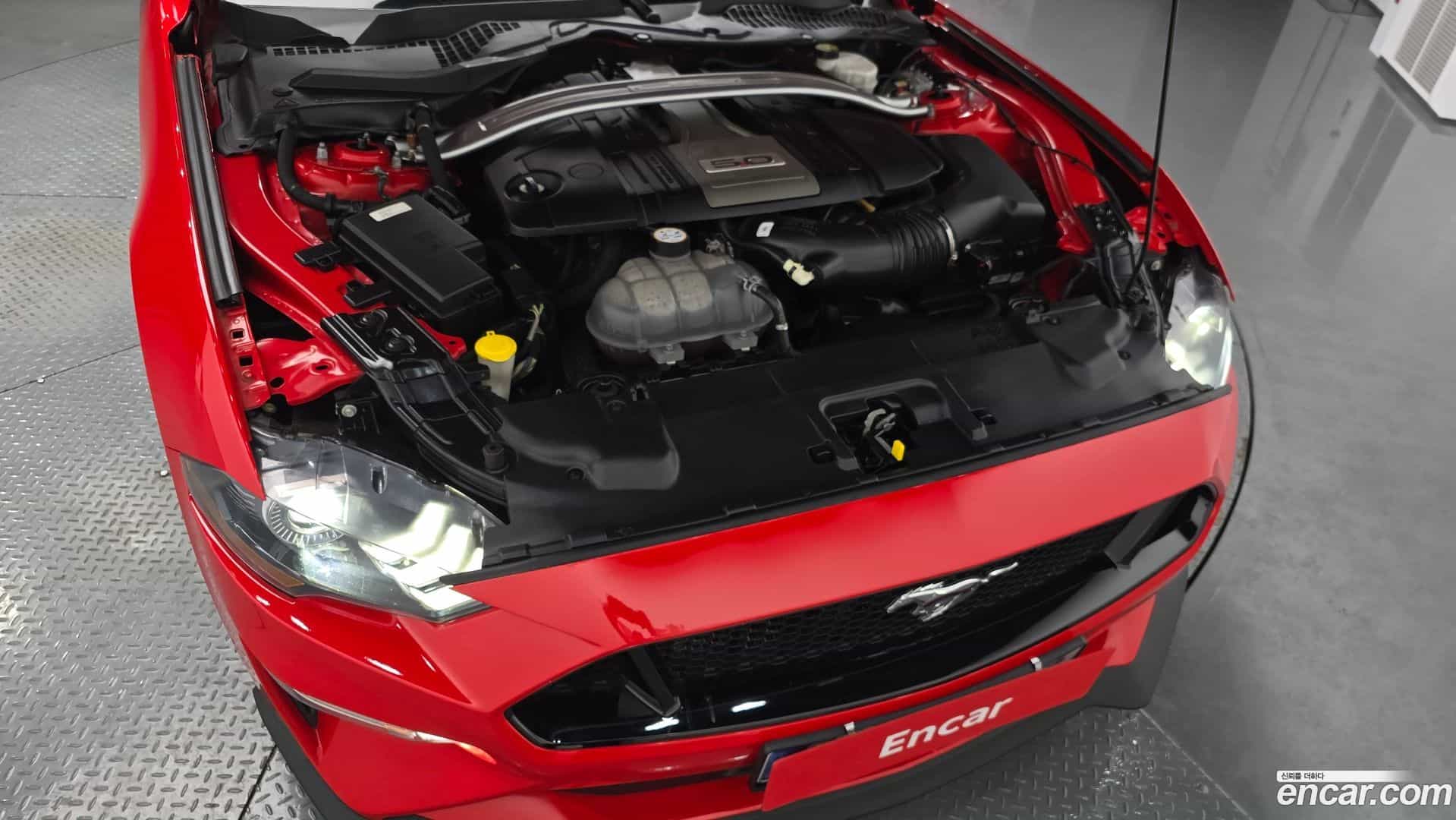Mustang Ford 2019.4-OUTER-006