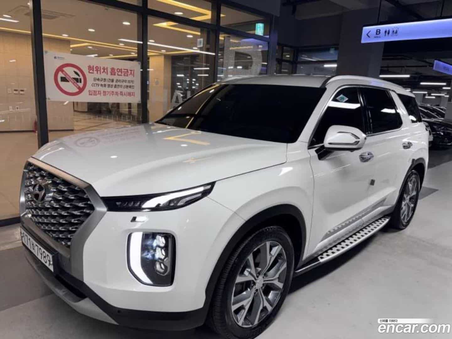 Palisade Hyundai 2020.4-OUTER-001