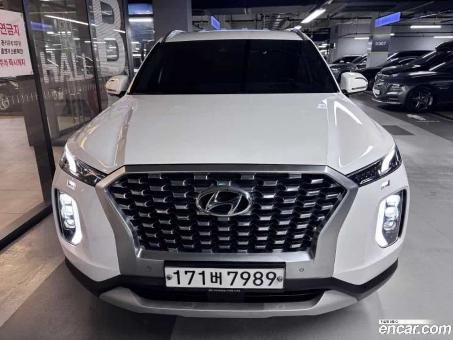 Palisade Hyundai 2020.4-OUTER-002