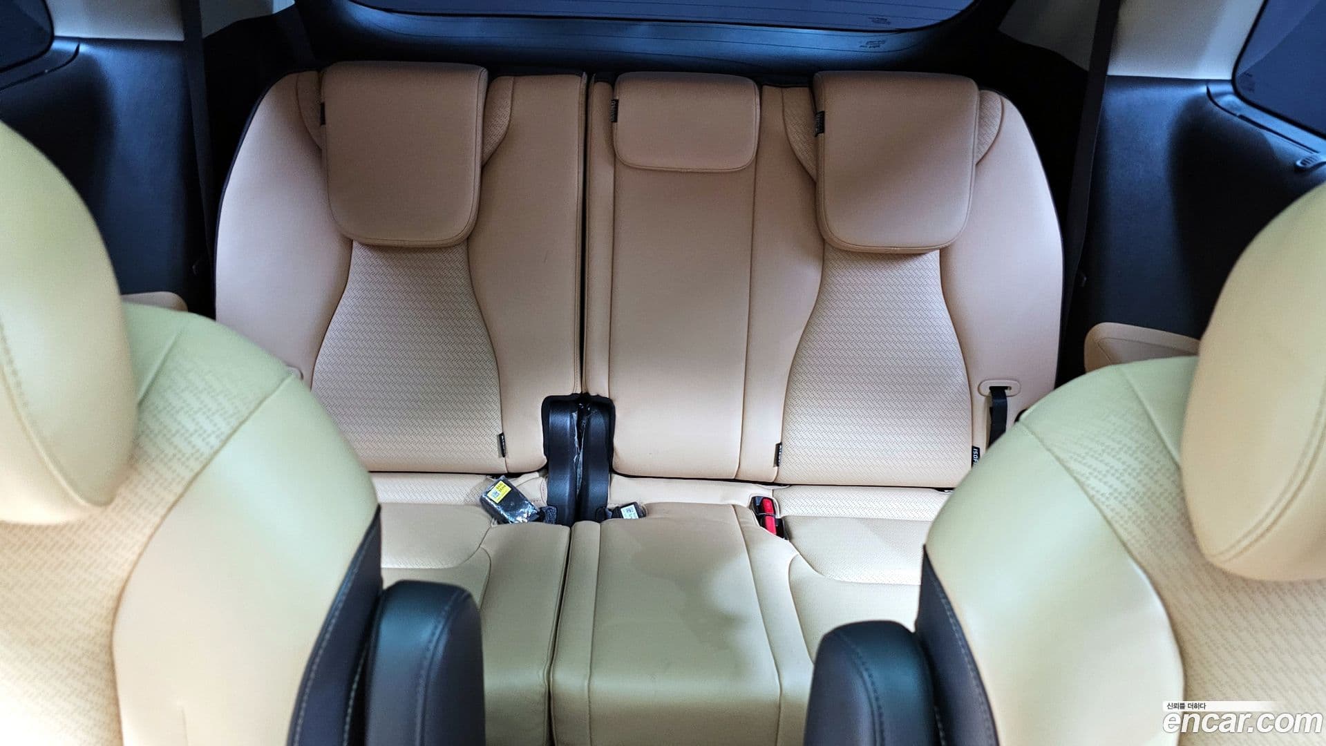 Main__Slider__Photo:Canival Kia 2023.3-25