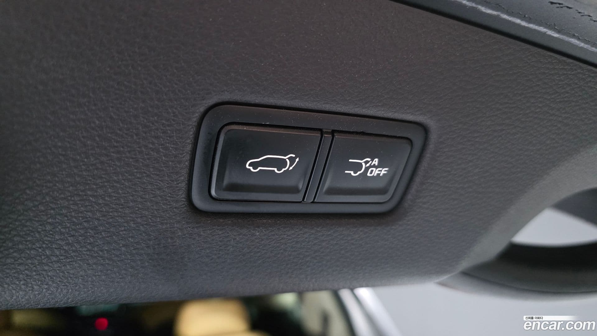 Main__Slider__Photo:Canival Kia 2020.9-30