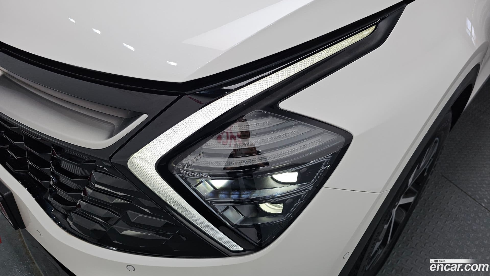 Main__Slider__Photo:Sportage Kia 2022.6-21