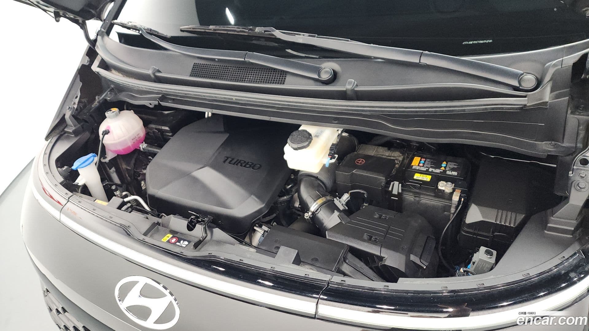 Main__Slider__Photo:Staria Hyundai 2022.3-5