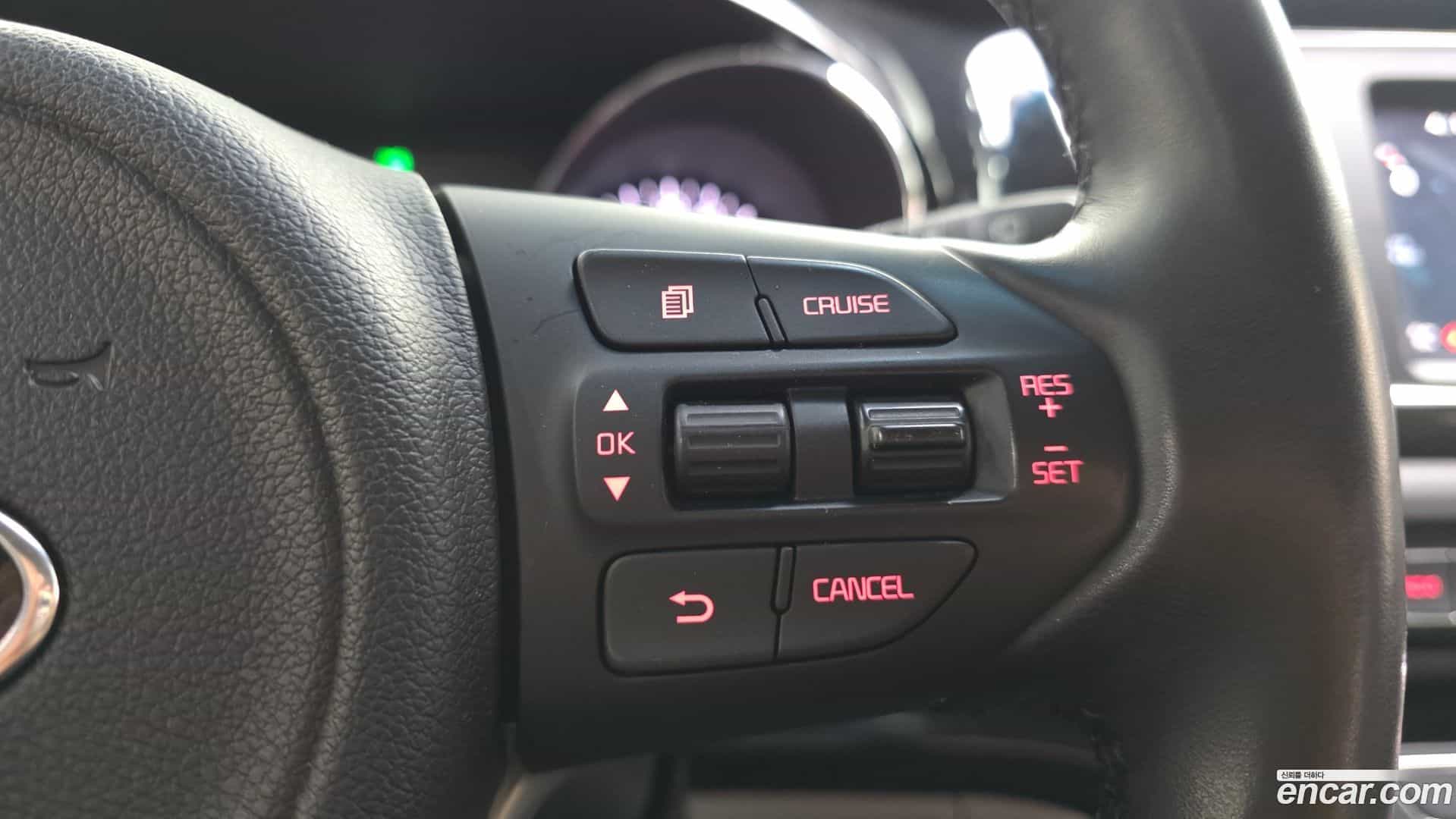 Canival Kia 2017.10-OPTION-043