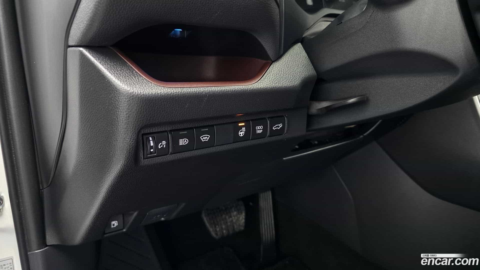 RAV4 Toyota 2024.1-OPTION-022