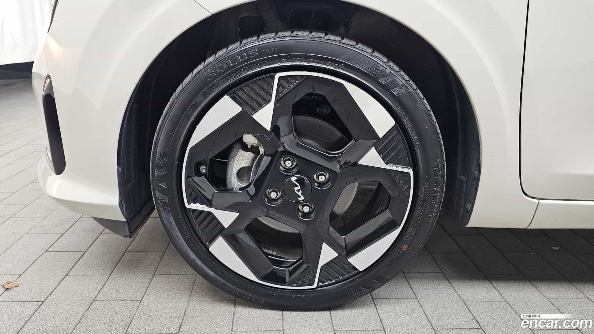 morning Kia 2025.6-OUTER-005