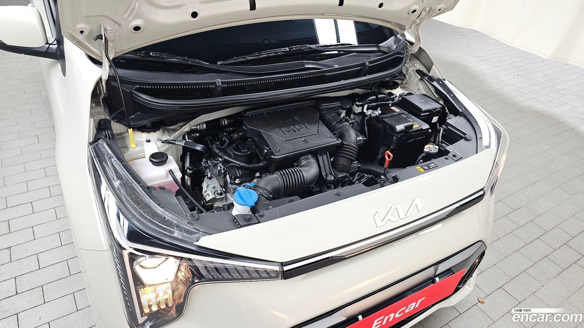 Main__Slider__Photo:morning Kia 2025.6-5