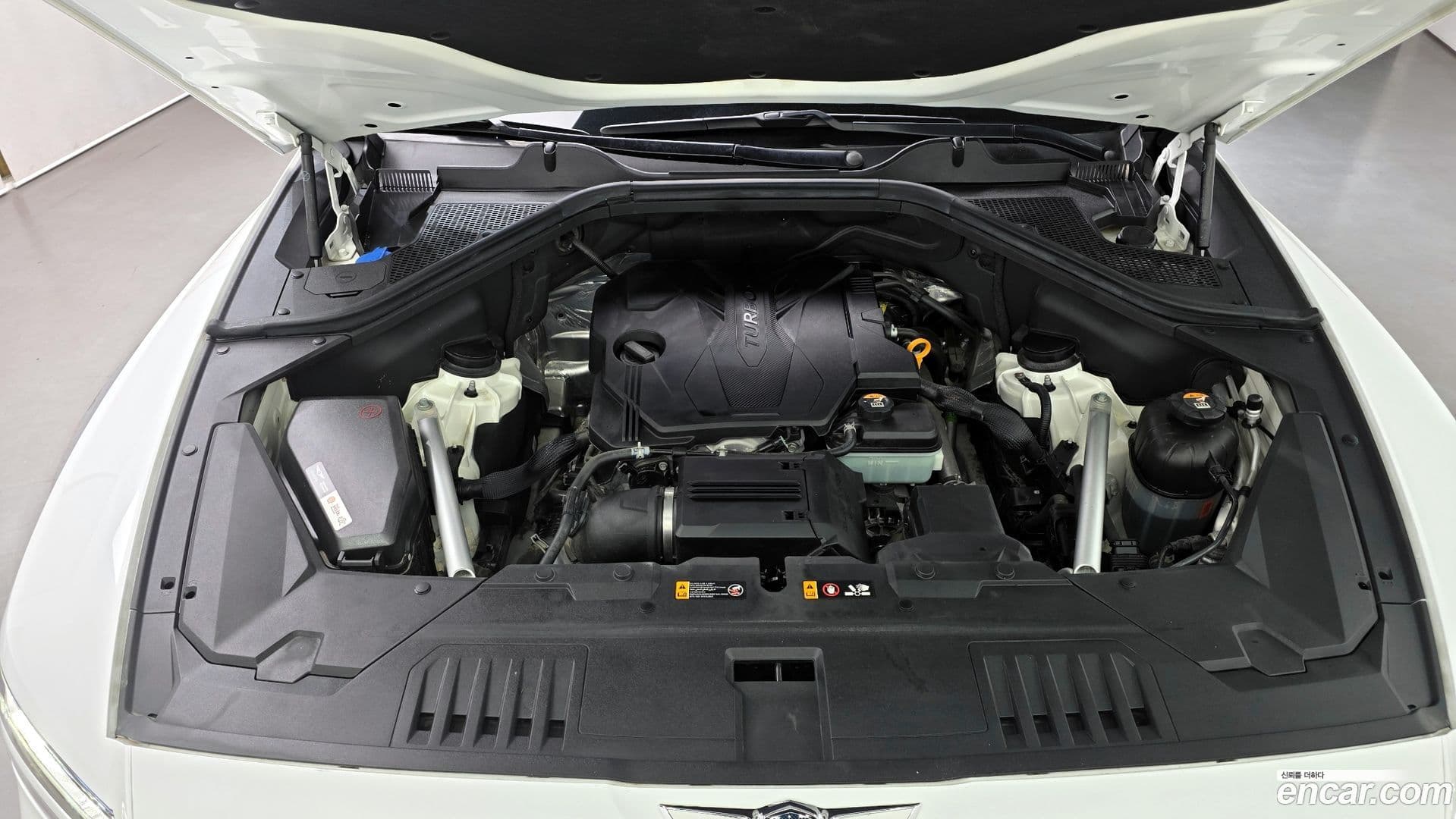 Main__Slider__Photo:GV80 Genesis 2020.4-5
