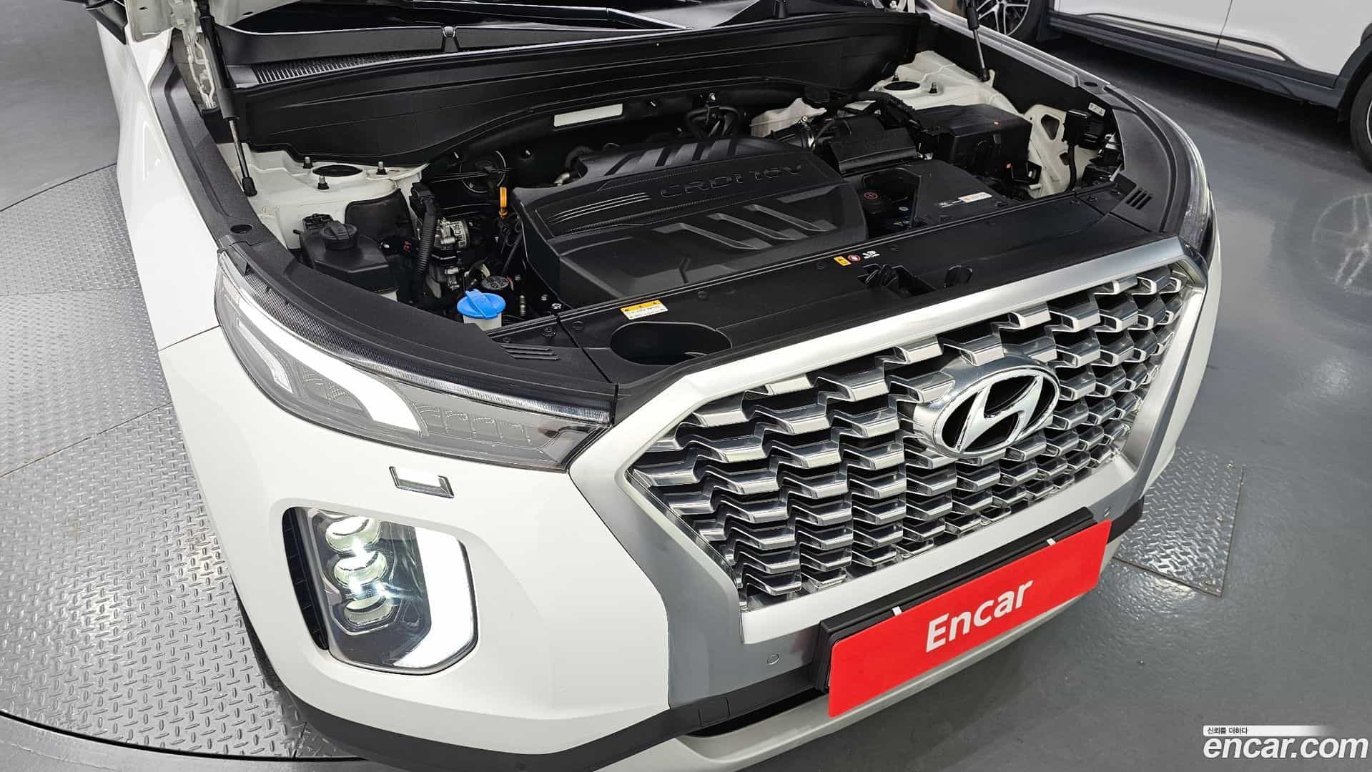 Palisade Hyundai 2019.7-OUTER-006