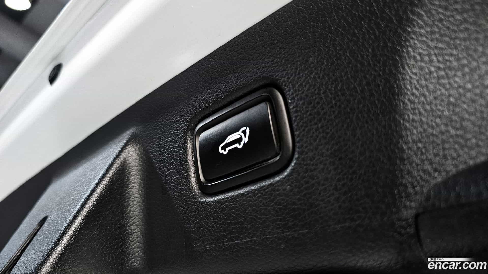 Palisade Hyundai 2019.7-OPTION-022