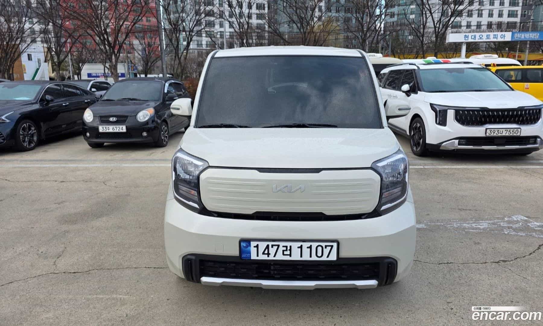 RAY Kia 2024.6-OUTER-001