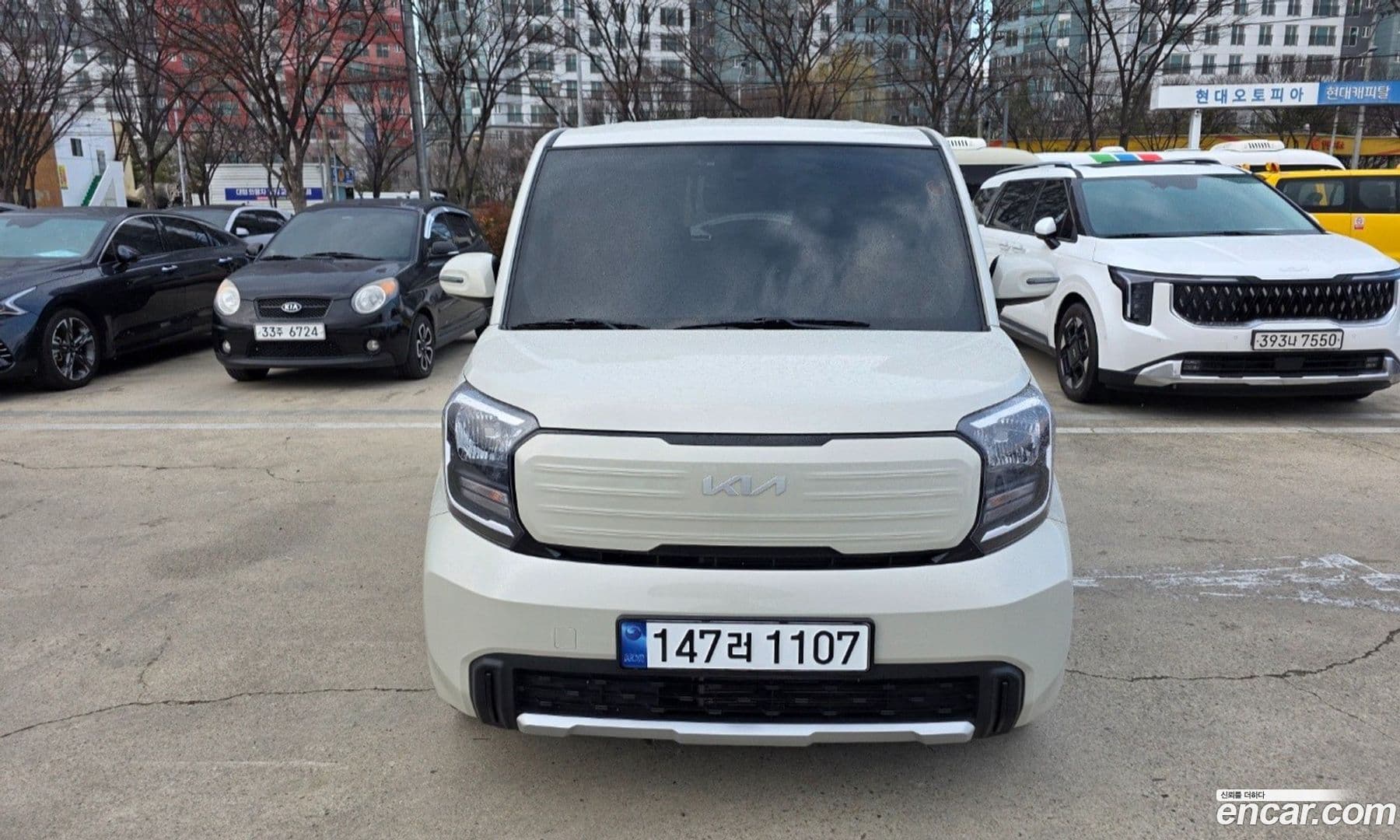 Main__Slider__Photo:RAY Kia 2024.6-0