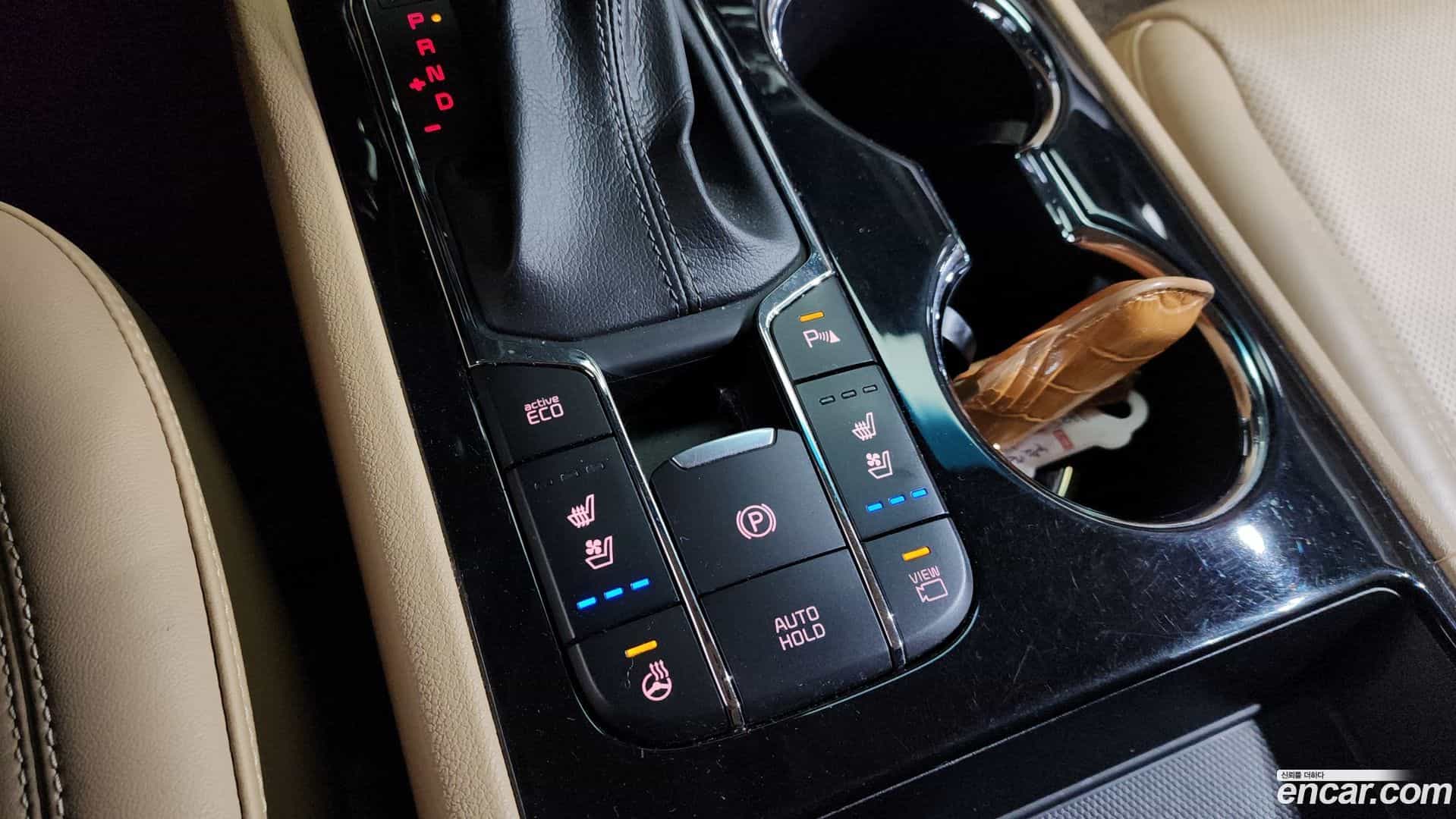 Canival Kia 2018.5-OPTION-024