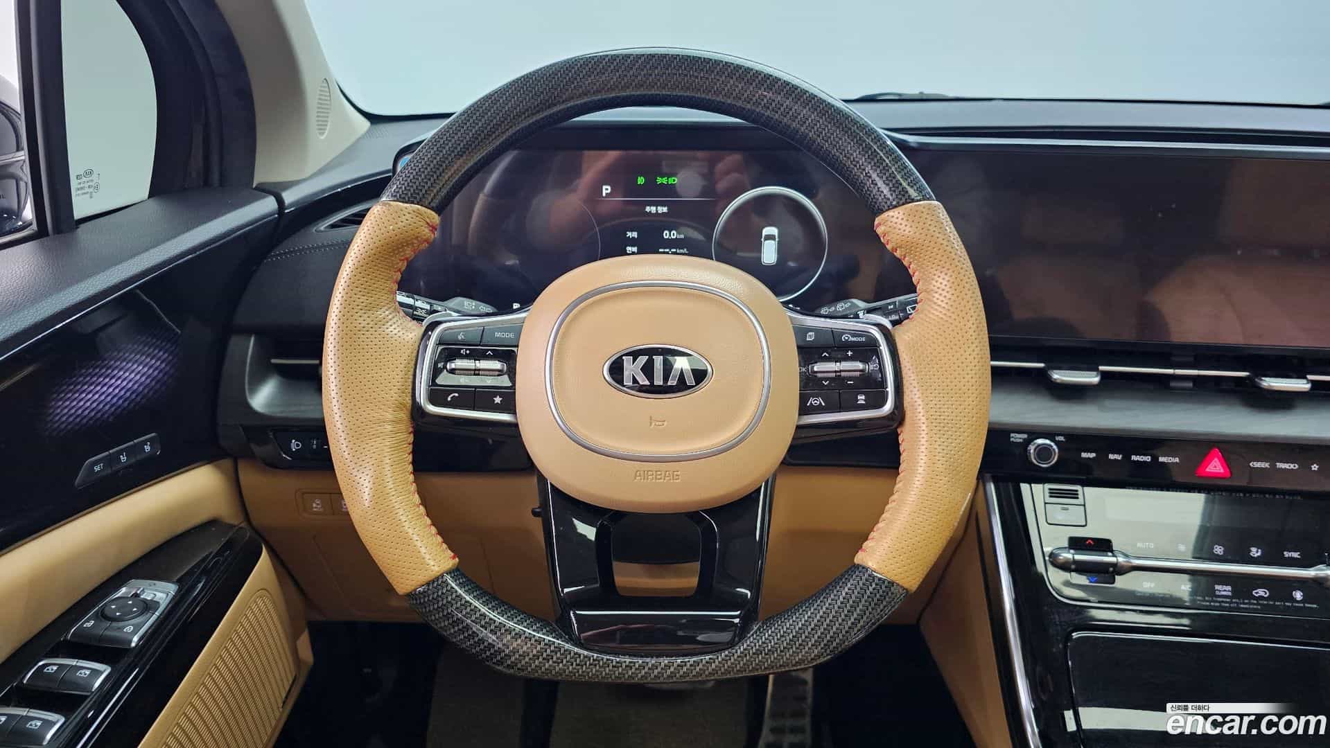 Canival Kia 2020.11-OPTION-017