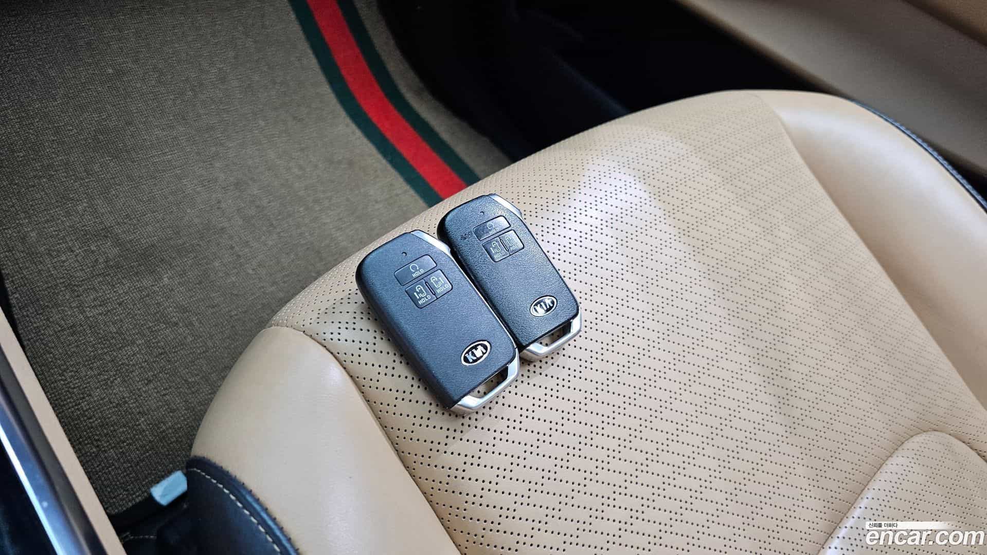Canival Kia 2020.11-OPTION-022
