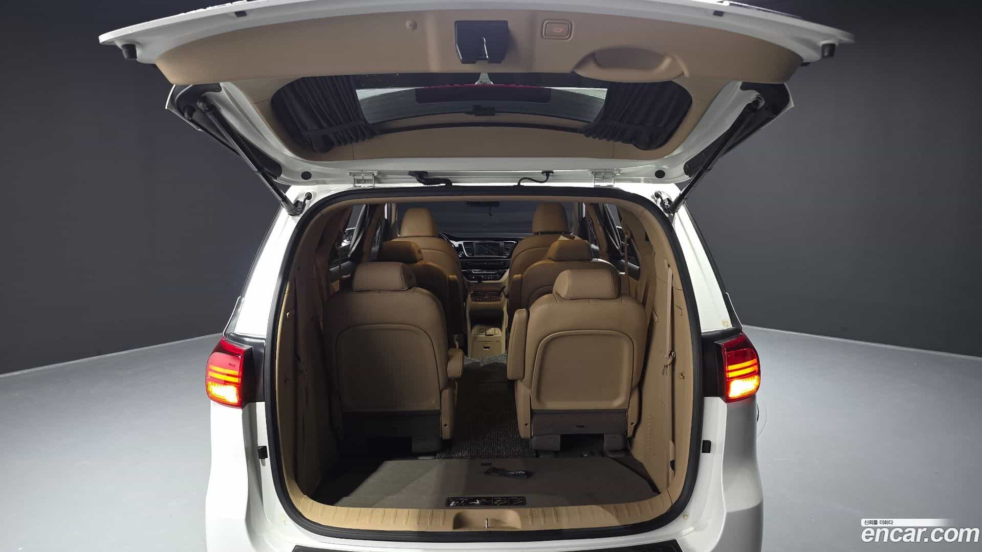 Canival Kia 2018.4-OPTION-024