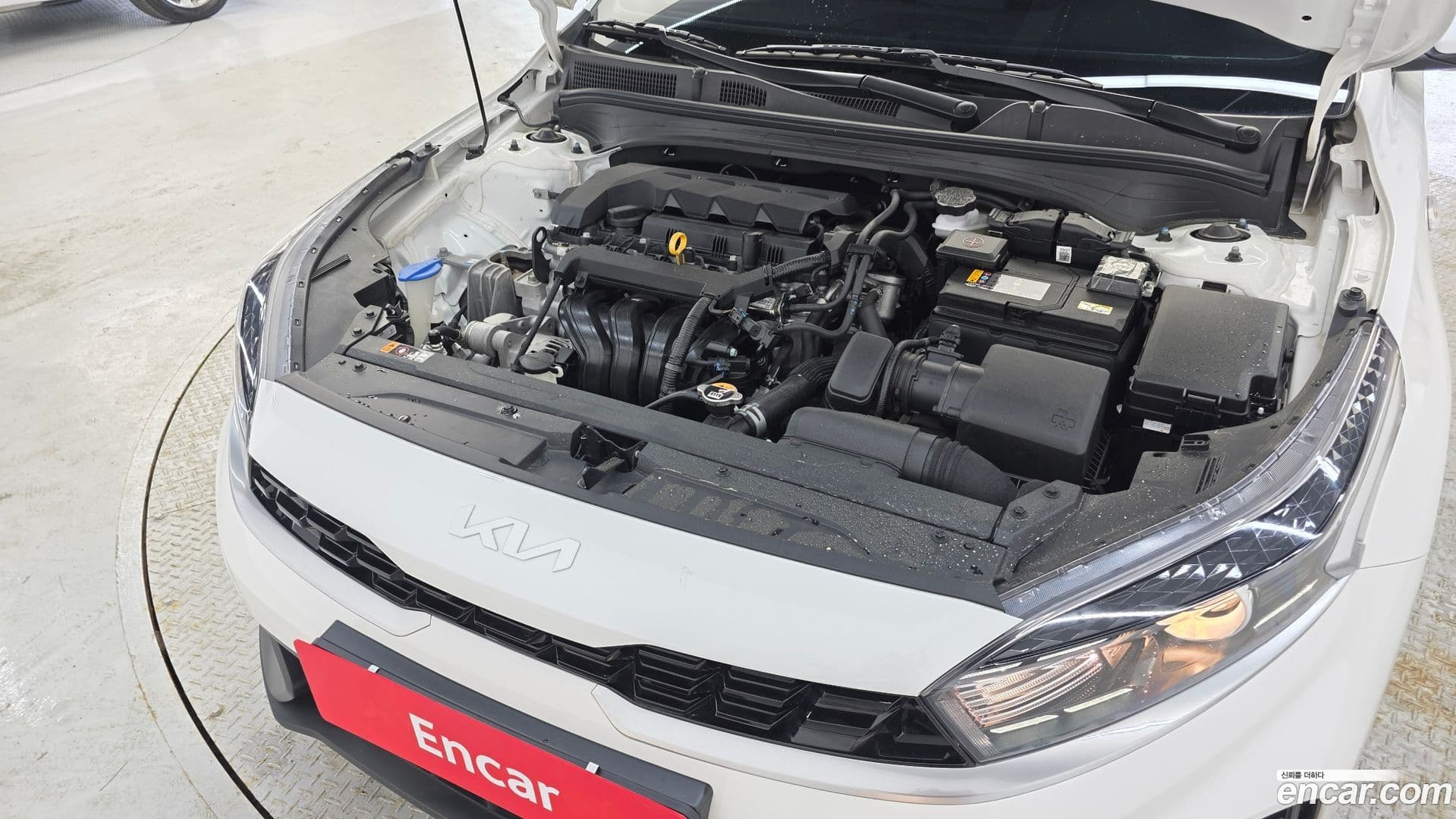 Main__Slider__Photo:K3 Kia 2022.3-5